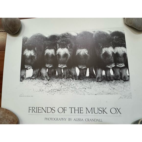 VTG Friends of the Musk Ox Alissa Crandall Poster Artist Signed 1988 Mekoryuk - Picture 2 of 9